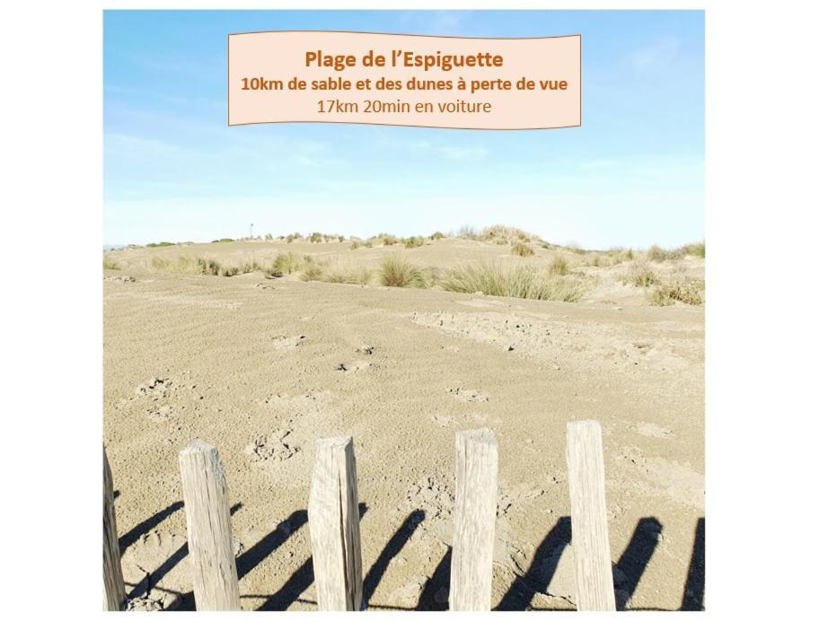 T2 Fidji Vue Port Et Mer Parking Clim Wifi - Rossiconciergerie - Linge En Option Λα Γκραντ-Μοτ Εξωτερικό φωτογραφία